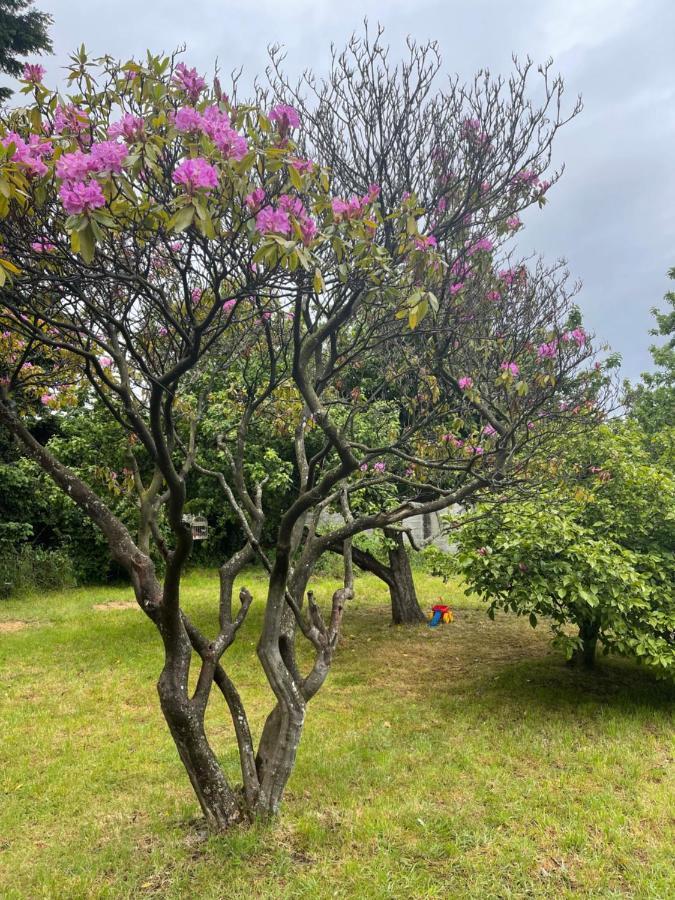 Hostal Das Hause Puerto Varas Esterno foto